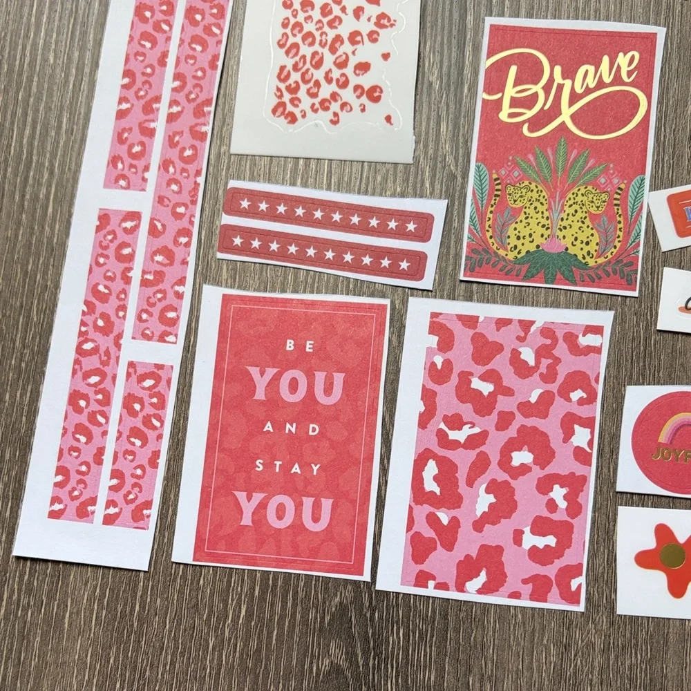 ❤️$3 Wild Red and Pink Hues Not So Mystery Happy Planner Sticker Set